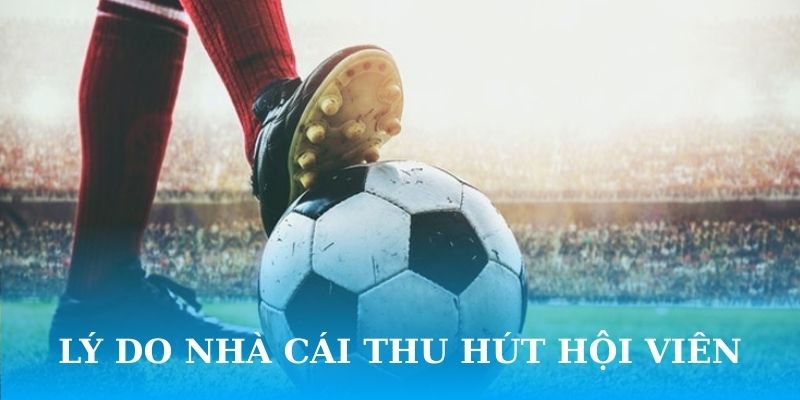 Lý do nhà cái SM66 bóng đá sở hữu đông đảo hội viên
